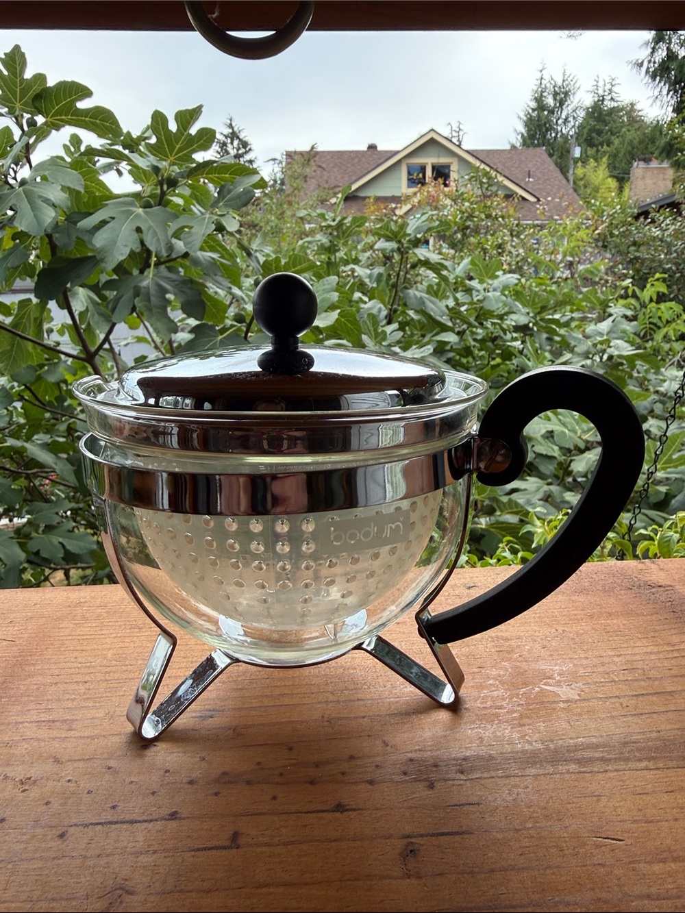 Small Bodum Glass Tea Infuser French Press with Black Handle and Silver Trim